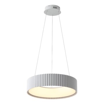 LED Luster na sajli LED/30W/230V 3000K bijela