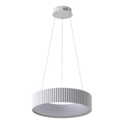 LED Luster na sajli LED/30W/230V 3000K bijela