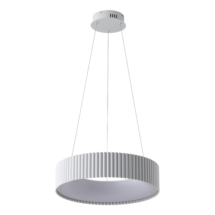 LED Luster na sajli LED/30W/230V 3000K bijela