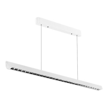 LED Luster na sajli LED/36W/230V 3000/4000/6400K bijela