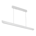 LED Luster na sajli LED/36W/230V 3000/4000/6400K bijela
