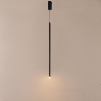 LED Luster na sajli LED/3W/230V 3000K pr. 6 cm
