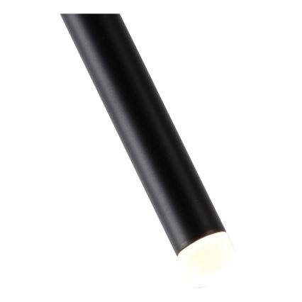 LED Luster na sajli LED/3W/230V 3000K pr. 6 cm