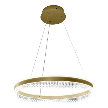 LED Luster na sajli LED/52W/230V pr. 60 cm zlatna