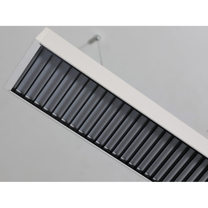 LED luster na sajli LED/55W/230V 3000/4000/6500K 120 cm bijela