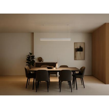 LED luster na sajli LED/55W/230V 3000/4000/6500K 120 cm bijela