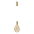 LED Luster na sajli LED/6,3W/230V 3000K zlatna pr. 14 cm