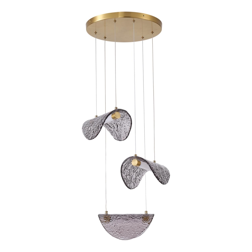LED Luster na sajli LED/6W/230V 3000K