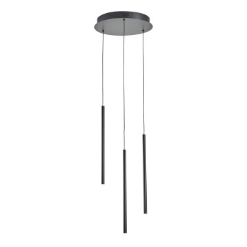 LED Luster na sajli LED/6W/230V 3000K pr. 30 cm