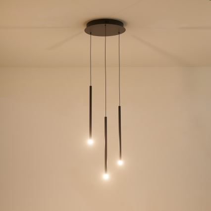 LED Luster na sajli LED/6W/230V 3000K pr. 30 cm
