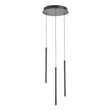 LED Luster na sajli LED/6W/230V 3000K pr. 30 cm