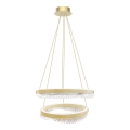 LED Luster na sajli LED/85W/230V pr. 60 cm zlatna