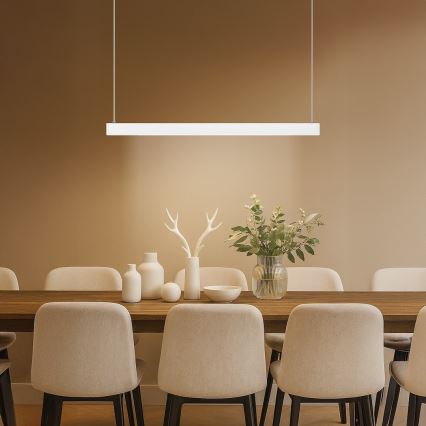 LED luster na sajli LINEA LED/36W/230V 3000/4000/5700K CRI 90 bijela