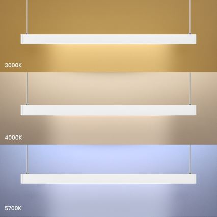 LED luster na sajli LINEA LED/36W/230V 3000/4000/5700K CRI 90 bijela