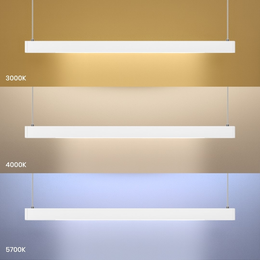 LED luster na sajli LINEA LED/36W/230V 3000/4000/5700K CRI 90 bijela