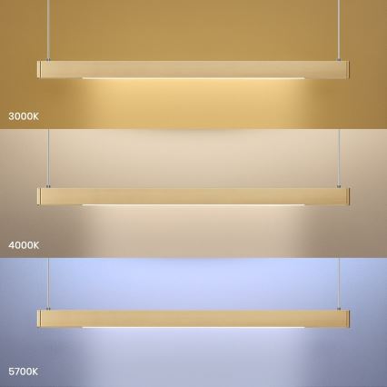 LED luster na sajli LINEA LED/36W/230V 3000/4000/5700K CRI 90 zlatna