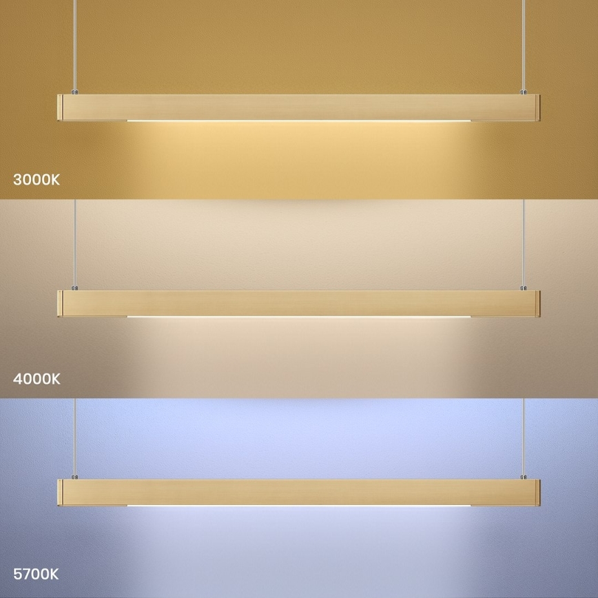 LED luster na sajli LINEA LED/36W/230V 3000/4000/5700K CRI 90 zlatna