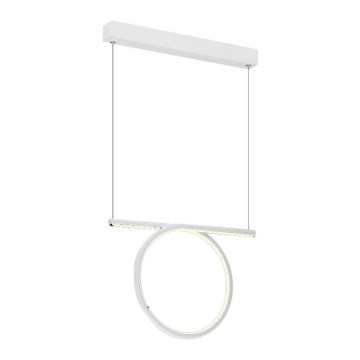 LED luster na sajli LOOP LED/20W/230V bijela