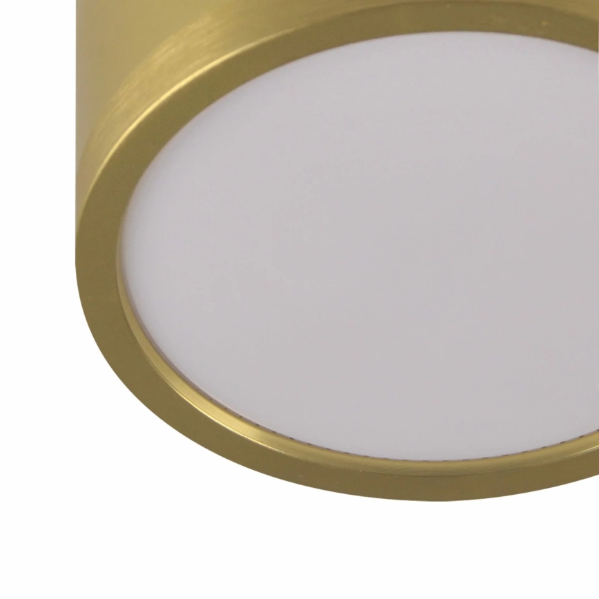 LED Luster na sajli MIRELLA 3xGX53/6W/230V zlatna/crna