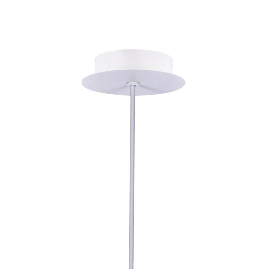 LED luster na sajli MODENA LED/5W/230V