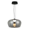 LED luster na sajli NADIA LED/20W/230V zadimljeno/crna