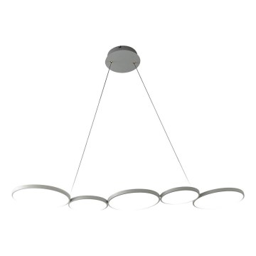LED Luster na sajli OLYMPIA 5xLED/10W/230V siva
