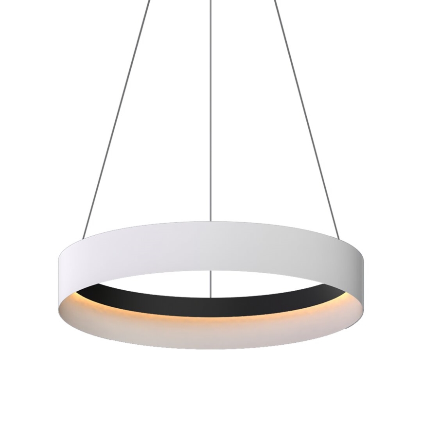 LED Luster na sajli ORBITA LED/52W/230V bijela/crna