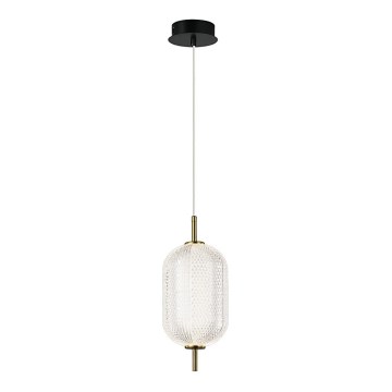 LED luster na sajli PELLUCID LED/11W/230V zlatna/prozirna