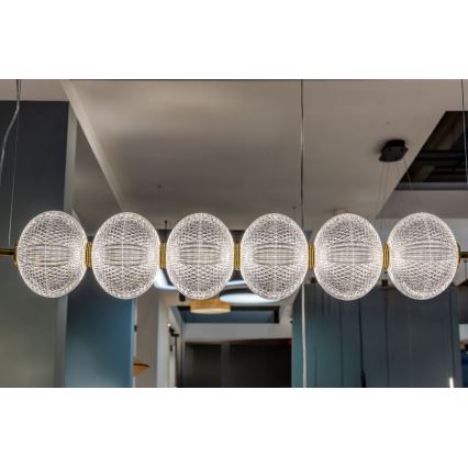 LED luster na sajli PELLUCID LED/23W/230V zlatna/prozirna