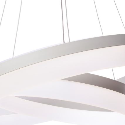 LED Luster na sajli RING s daljinskim upravljačem LED/60W/230V