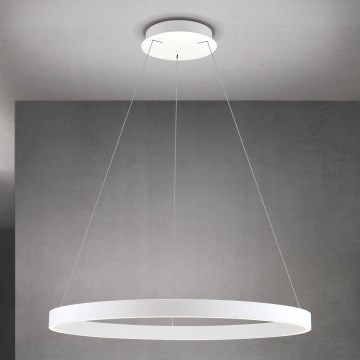 LED luster na sajli s mogućnošću prigušivanja KOLK LED/80W/230V 2700/3000/4000K Ø 80 cm bijela