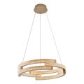 LED luster na sajli TARJA LED/36W/230V 3000/4000/6000K promjer 60 cm zlatna