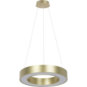 LED luster na sajli UNION LED/40W/230V 3000/4000/6500K prom. 40 cm zlatna