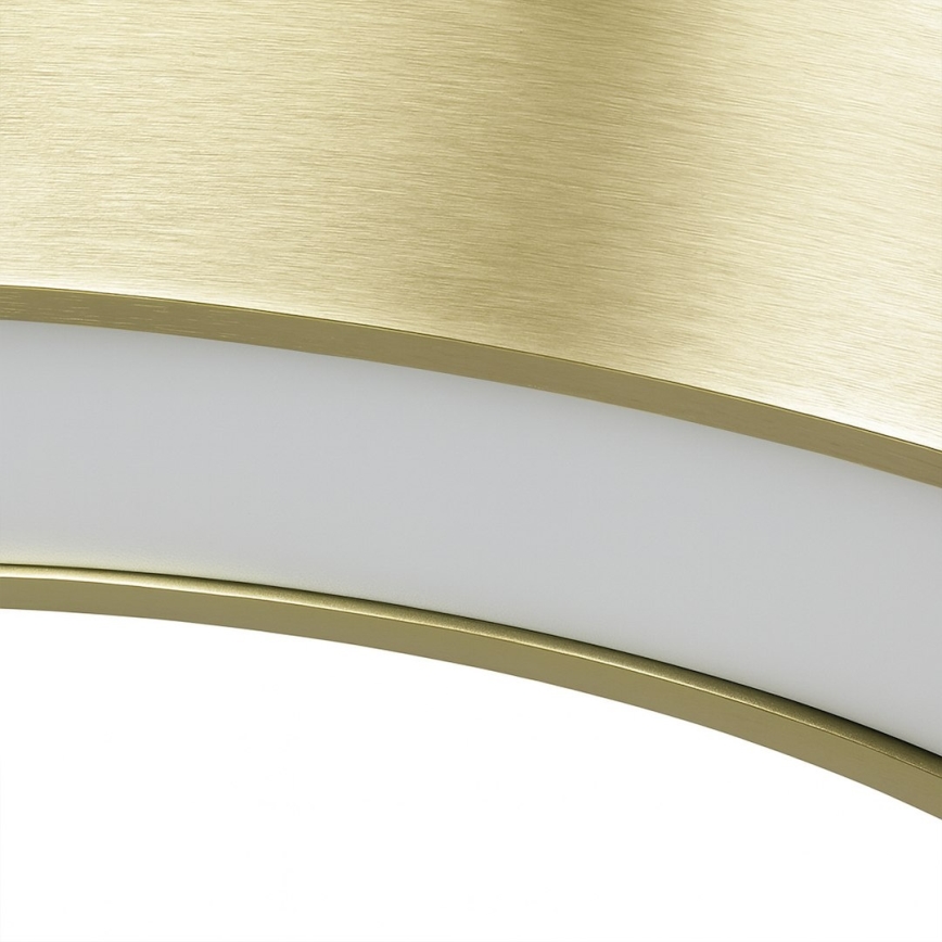 LED luster na sajli UNION LED/40W/230V 3000/4000/6500K prom. 40 cm zlatna