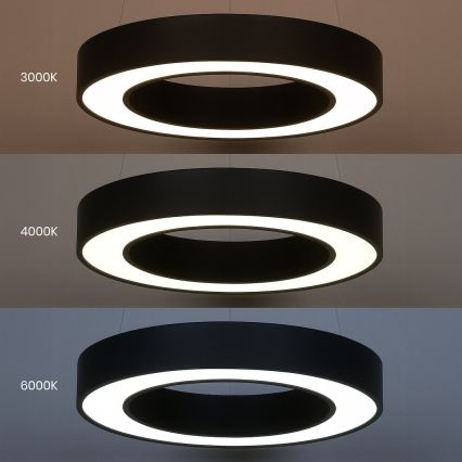 LED luster na sajli UNION LED/40W/230V 3000/4000/6500K Ø 40 cm crna