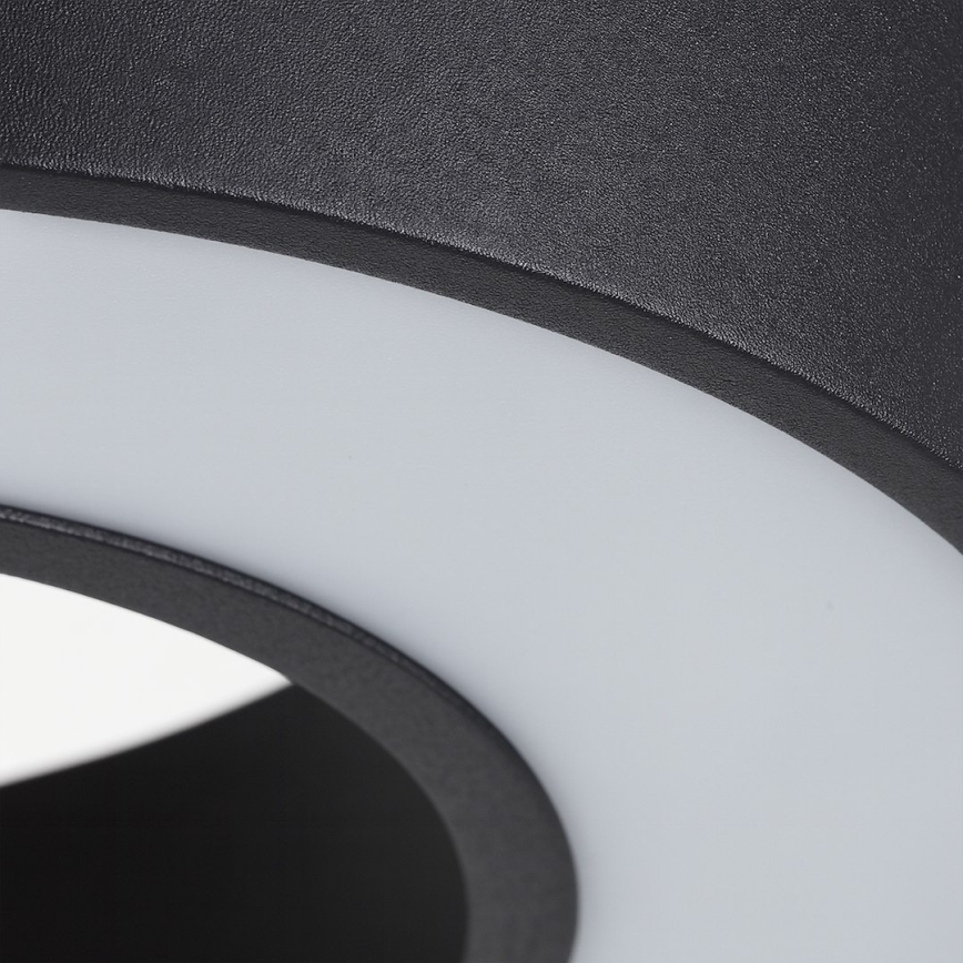 LED luster na sajli UNION LED/40W/230V 3000/4000/6500K Ø 40 cm crna