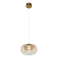 LED Luster na sajli VASO LED/4W/230V pr. 18 cm zlatna/dimna
