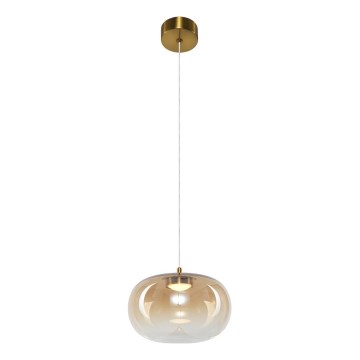 LED Luster na sajli VASO LED/4W/230V pr. 18 cm zlatna/dimna