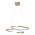 LED luster na sajli ZEFIRA LED/40W/230V 4000K pr. 50 cm zlatna