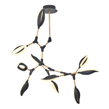 LED luster na šipci ASTI 10xLED/7W/230V 3000K crna