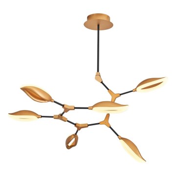 LED luster na štapu ASTI 6xLED/7W/230V 3000K zlatna