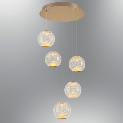 LED Luster na užetku CREMONA 5xLED/5W/230V 3000K zlatna
