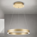 LED luster na užetu KOLK s mogućnošću prigušivanja LED/40W/230V 2700/3000/4000K prom. 40 cm zlatna