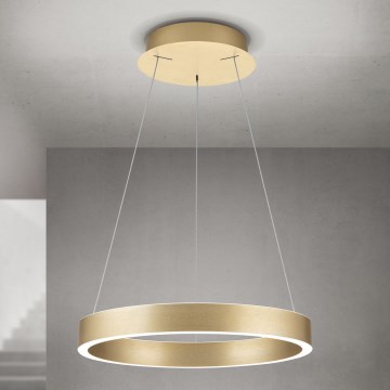 LED luster na užetu KOLK s mogućnošću prigušivanja LED/40W/230V 2700/3000/4000K prom. 40 cm zlatna