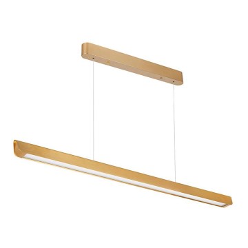 LED luster na užetu LED/36W/230V 3000/4000/6400K zlatna
