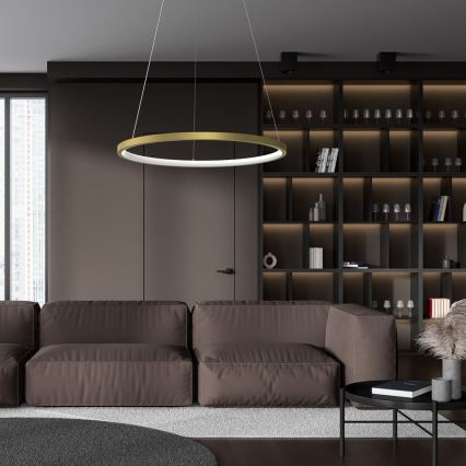 LED luster na užetu ROTONDA LED/27W/230V zlatna