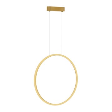 LED luster na užetu SATURNO LED/28W/230V promjer 50 cm IP44 zlatna
