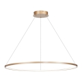 LED luster na užetu SATURNO LED/57W/230V promjer 100 cm IP44 zlatna