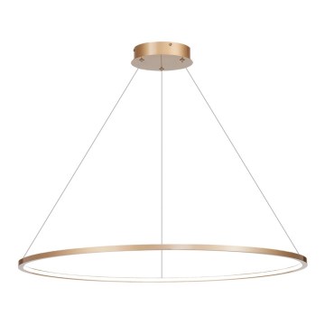 LED luster na užetu SATURNO LED/57W/230V promjer 100 cm IP44 zlatna