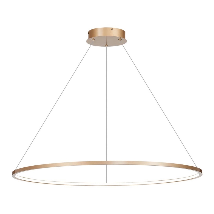 LED luster na užetu SATURNO LED/57W/230V promjer 100 cm IP44 zlatna